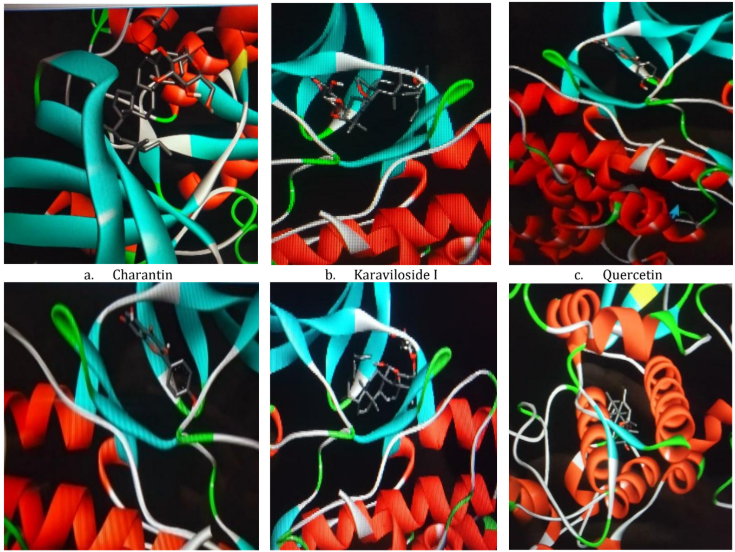 Figure 4. Visualization Overlay comparison of GSK redocking results with test compound docking results