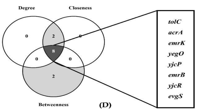 Common hub genes from the three distinct centrality metrics