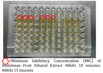 Figure 1. Minimum Inhibitory Concentration (MIC) Test Results