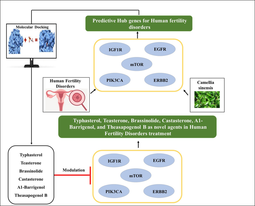 Graphical Abstract
