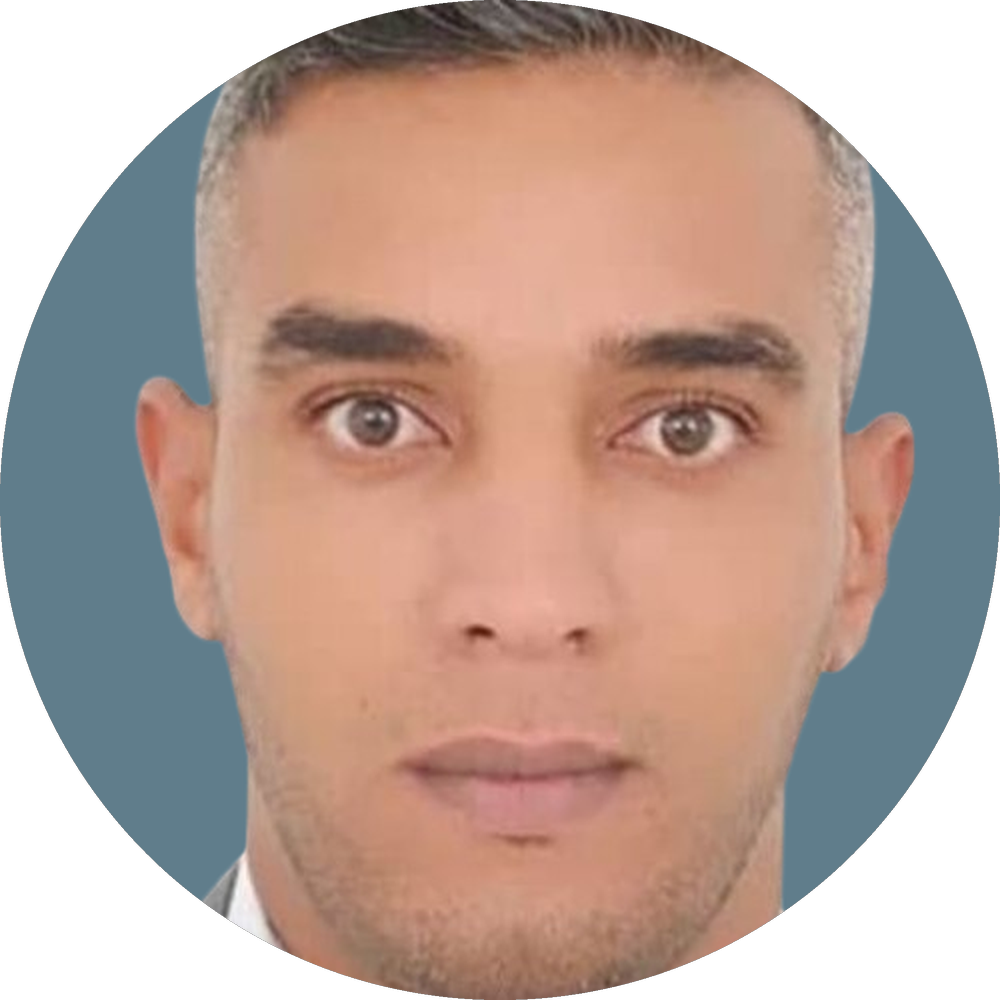 Mohammed Elaanzouli, Ph.D.