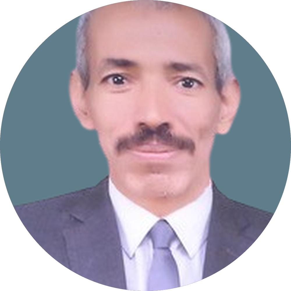 Prof. Dr. Abdurrahman Abulmajd