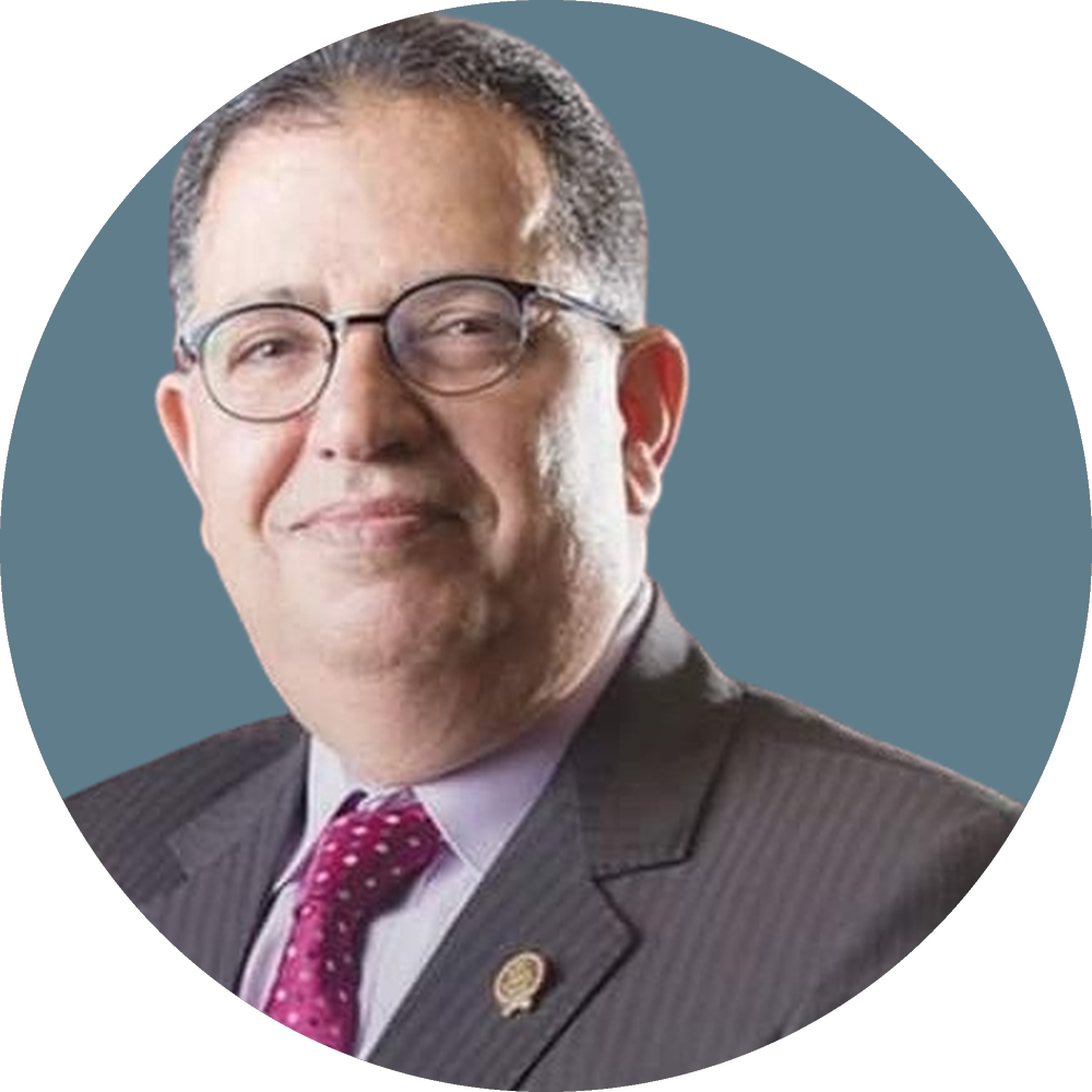 Prof. Yehia Elmashad